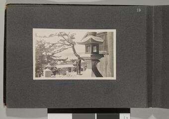 Go to image 12.