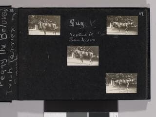 Go to image 41.