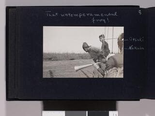 Go to image 10.