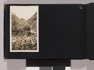 Go to image 74.