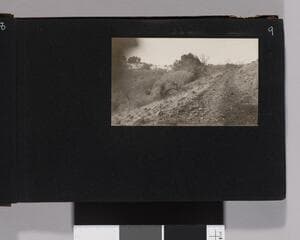 Go to image 11.