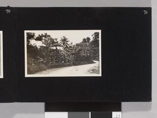 Go to image 73.
