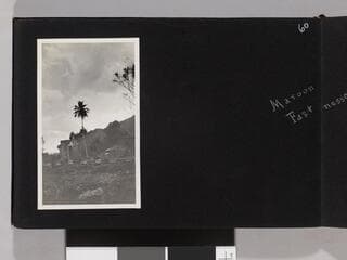 Go to image 62.