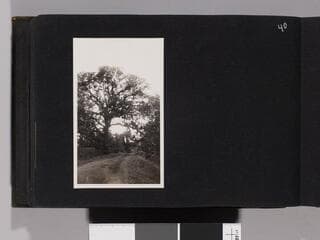Go to image 42.