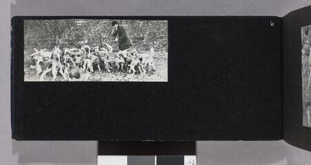 Go to image 8.
