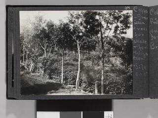 Go to image 36.