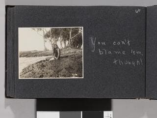 Go to image 68.