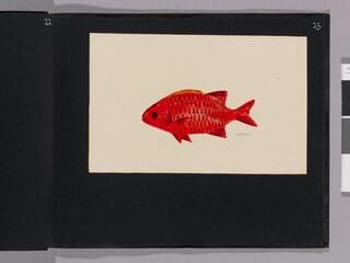 Go to image 25.