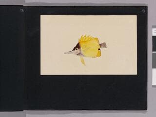 Go to image 15.