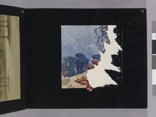 Go to image 39.