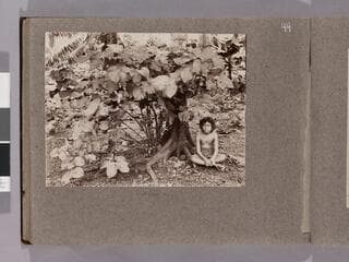 Go to image 46.