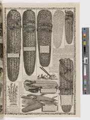 Go to image 13.