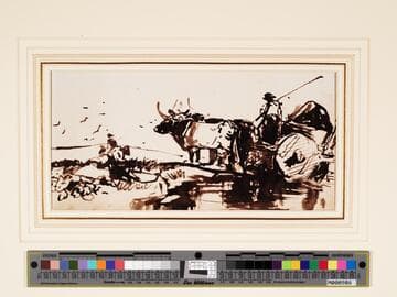 Ox Cart
