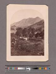 Go to image 1.