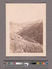 Go to image 1.