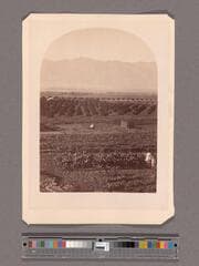 Go to image 1.