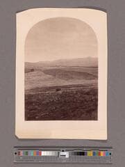 Go to image 1.
