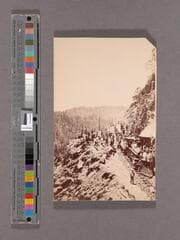 Go to image 1.