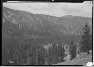Big Creek Scenery