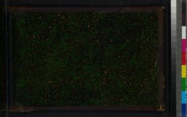 Go to image 47.