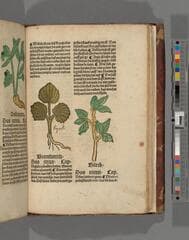Go to image 451.