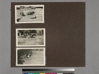 Go to image 15.