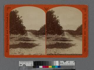 Go to image 1.