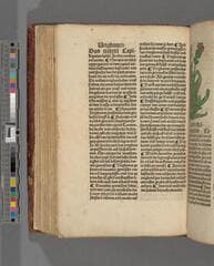 Go to image 264.