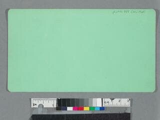 Go to image 2.