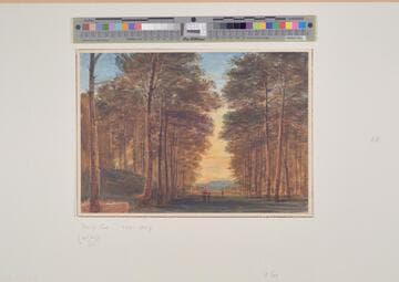Avenue, Evening