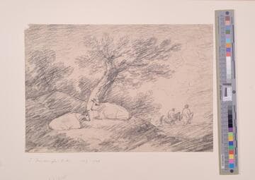 Woodland Sketch