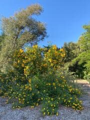 Go to image 1.