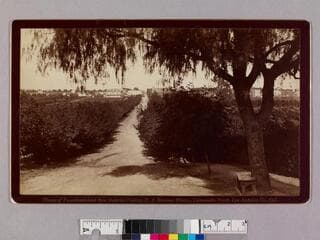 Go to image 1.