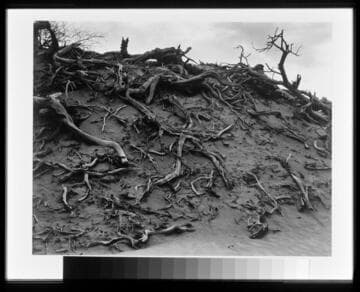 Dunes, Death Valley