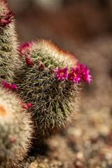Go to image 10.