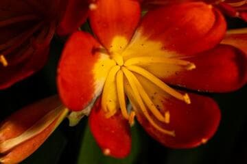 Go to image 7.
