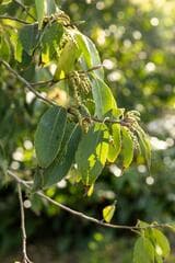 Go to image 2.