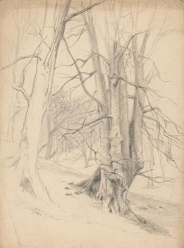 Tree Study
