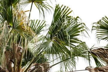 Go to image 3.