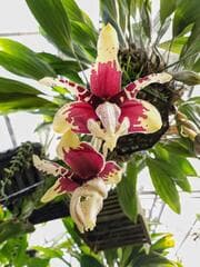 Go to image 2.