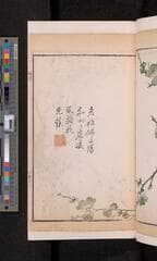Go to image 323.