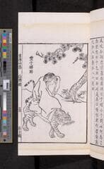 Go to image 183.