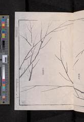 Go to image 73.