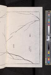 Go to image 72.