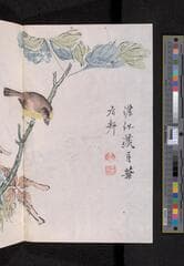 Go to image 298.