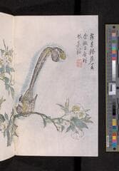 Go to image 294.