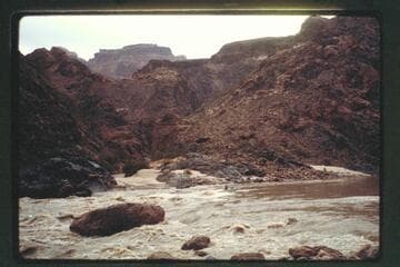 Topping Tuna Rapids