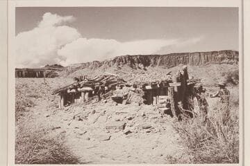 Cabin 1/4 mile downriver from Tickaboo Creek. Probably part of Tickaboo City, Mile 148-149