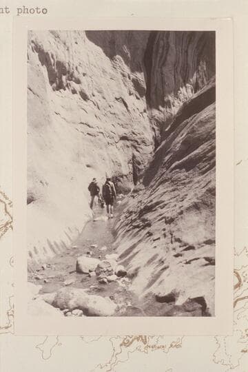 Forty Mile Creek