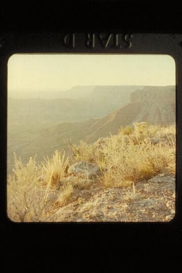Shivwits, Lake Mead